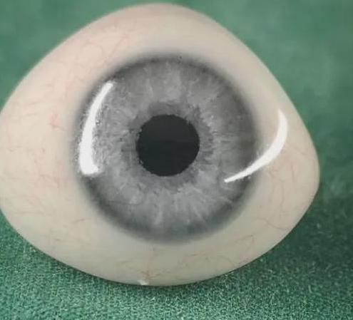 假眼